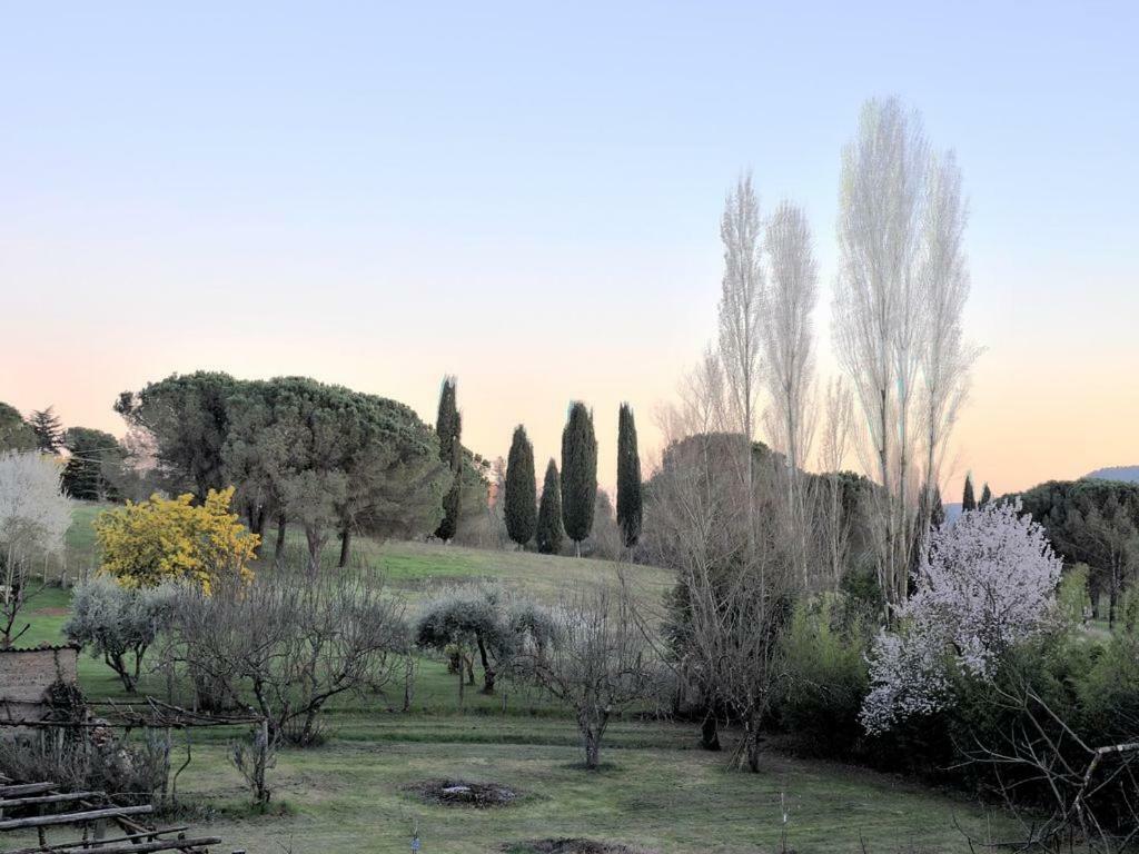 Il Maestro E L'Innamorata Sutri Exteriör bild